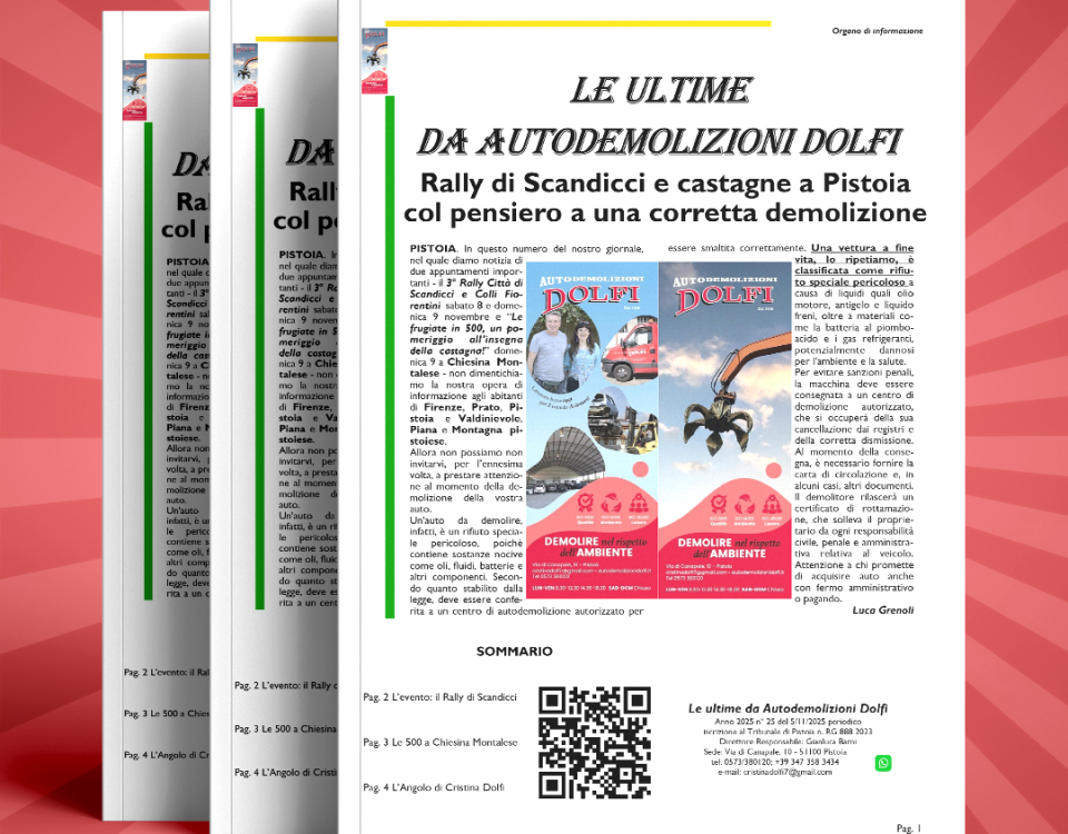 Dolfi_post_giornalino_25